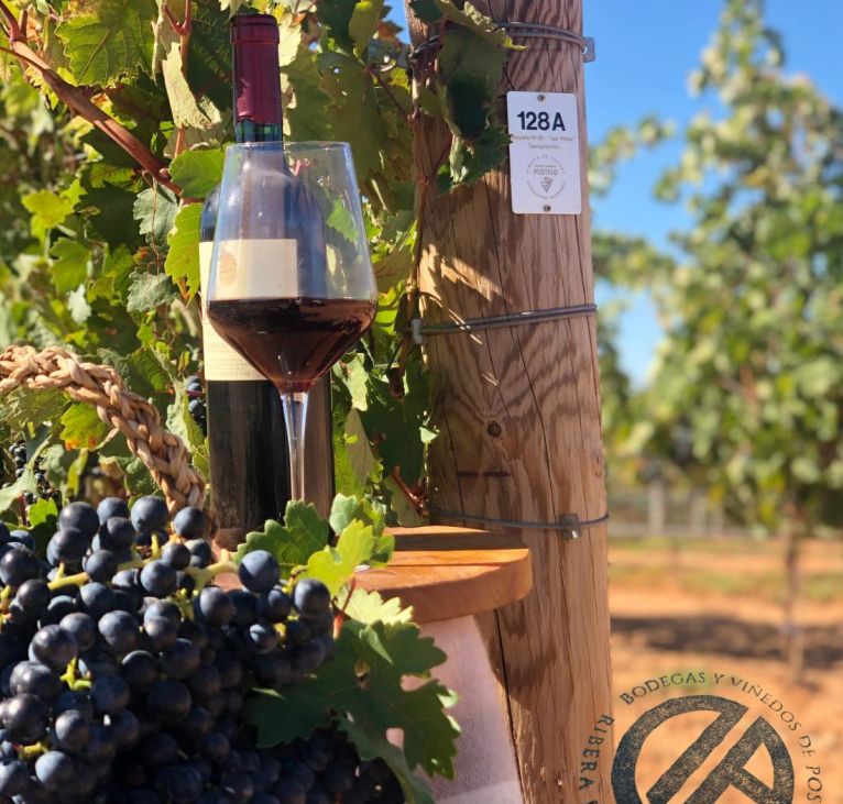 Copa y botella de vino tinto De Postín junto a racimos de uva en un viñedo de la Ribera del Duero, Soria.