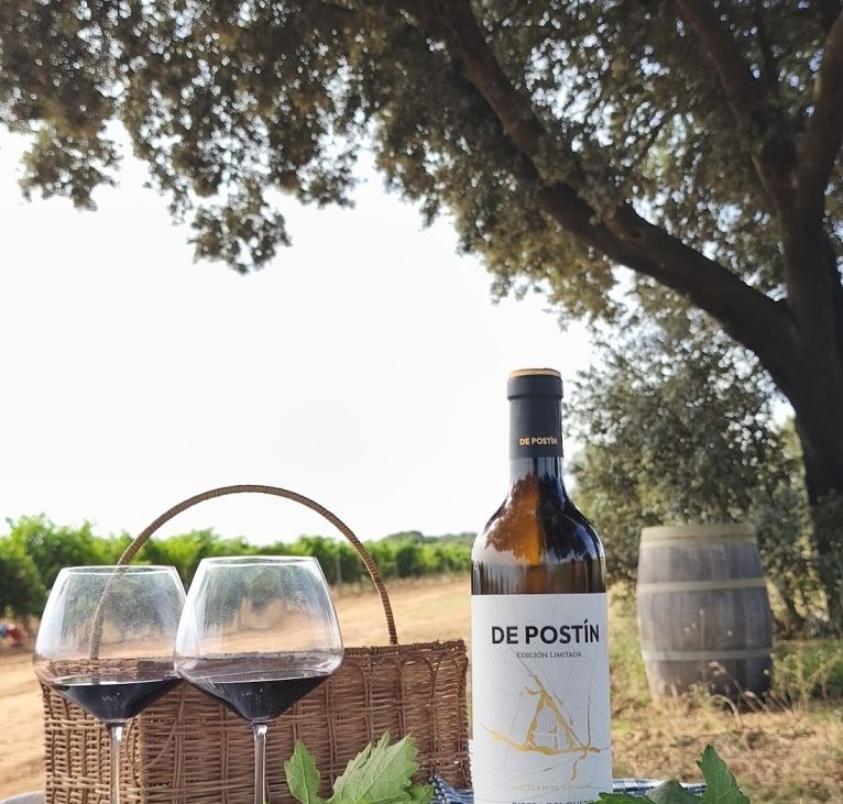 Vino Ribera Del Duero Soria De Postín