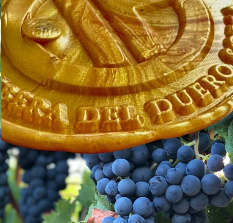 Vino Soria Ribera del Duero