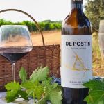 DE POSTIN RIBERA DEL DUERO SORIA FOTOS HEAD_8